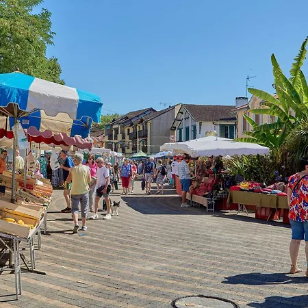 Lumineux Proche Thermes Avec Wifi Et Animaux Admis - Fr-1-841-77 דירה *