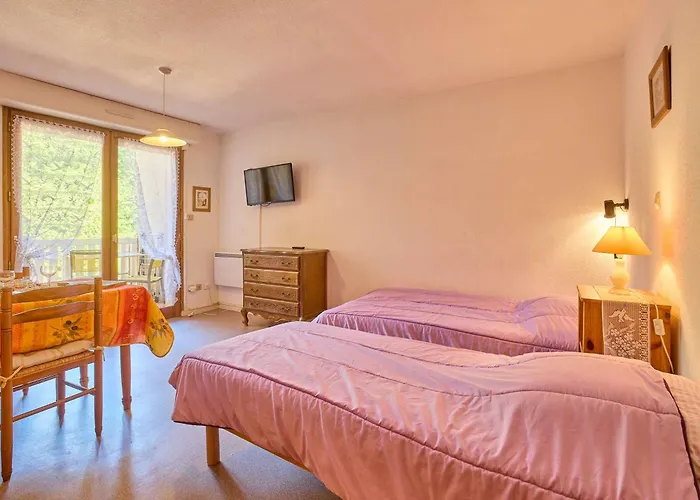 Lumineux Proche Thermes Avec Wifi Et Animaux Admis - Fr-1-841-77 Apartment *