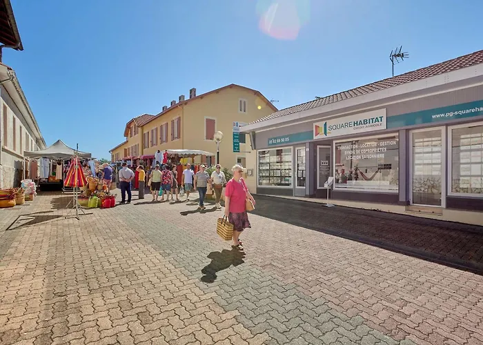 Lumineux Proche Thermes Avec Wifi Et Animaux Admis - Fr-1-841-77 * Barbotan-les-Thermes